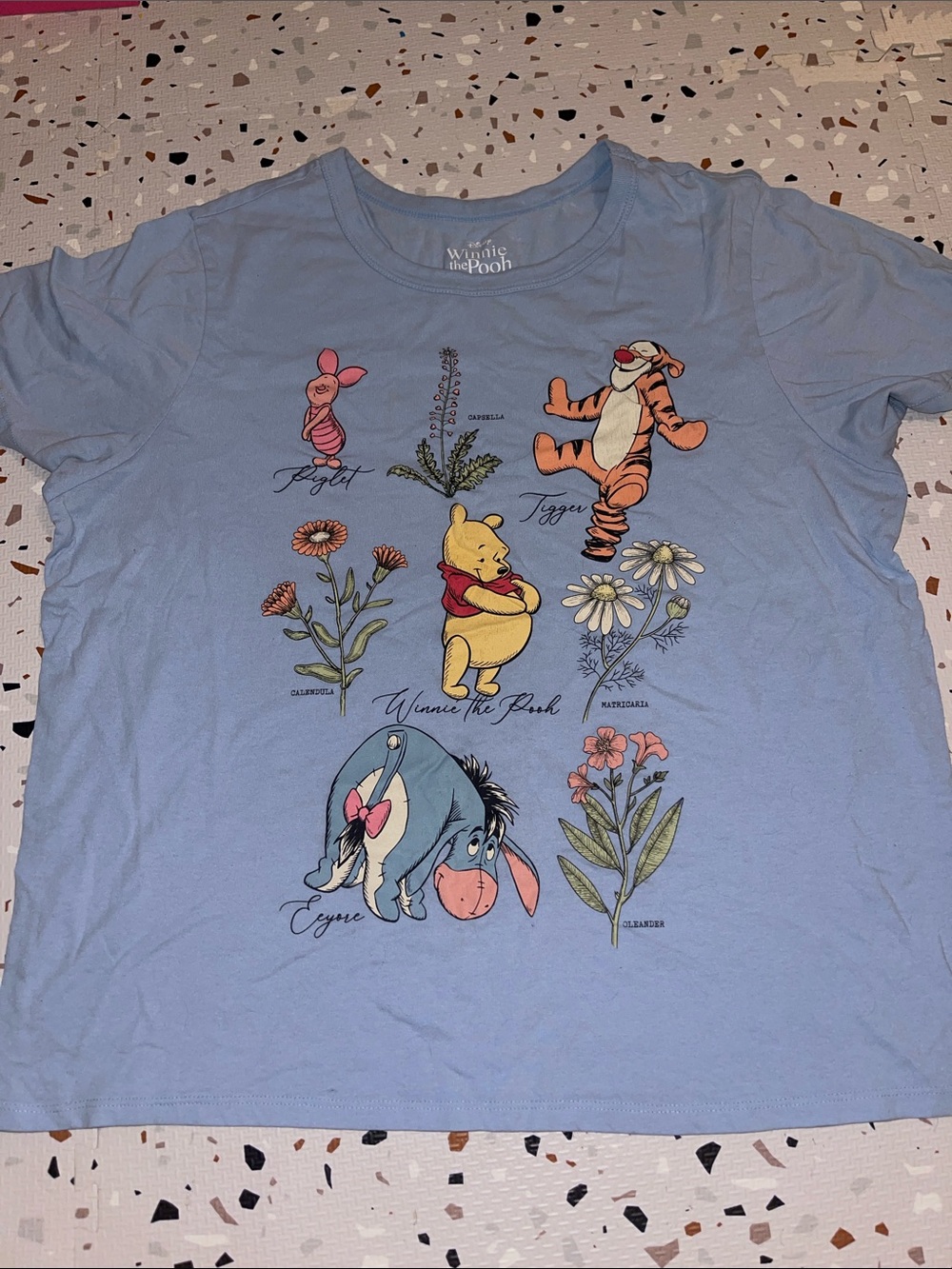 Winnie the Pooh Blue Character Graphic Tee